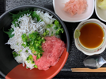 ネギトロ丼